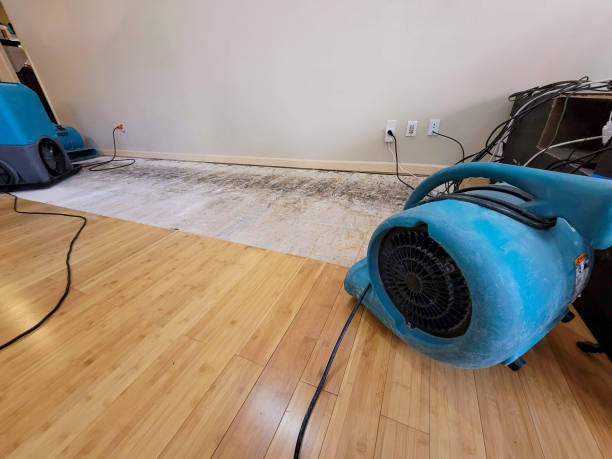 Professional Ceiling Water Damage Repair technician working in Durand, IL